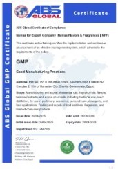 GMP symbolic certificate