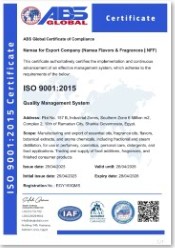 ISO 9001 symbolic certificate